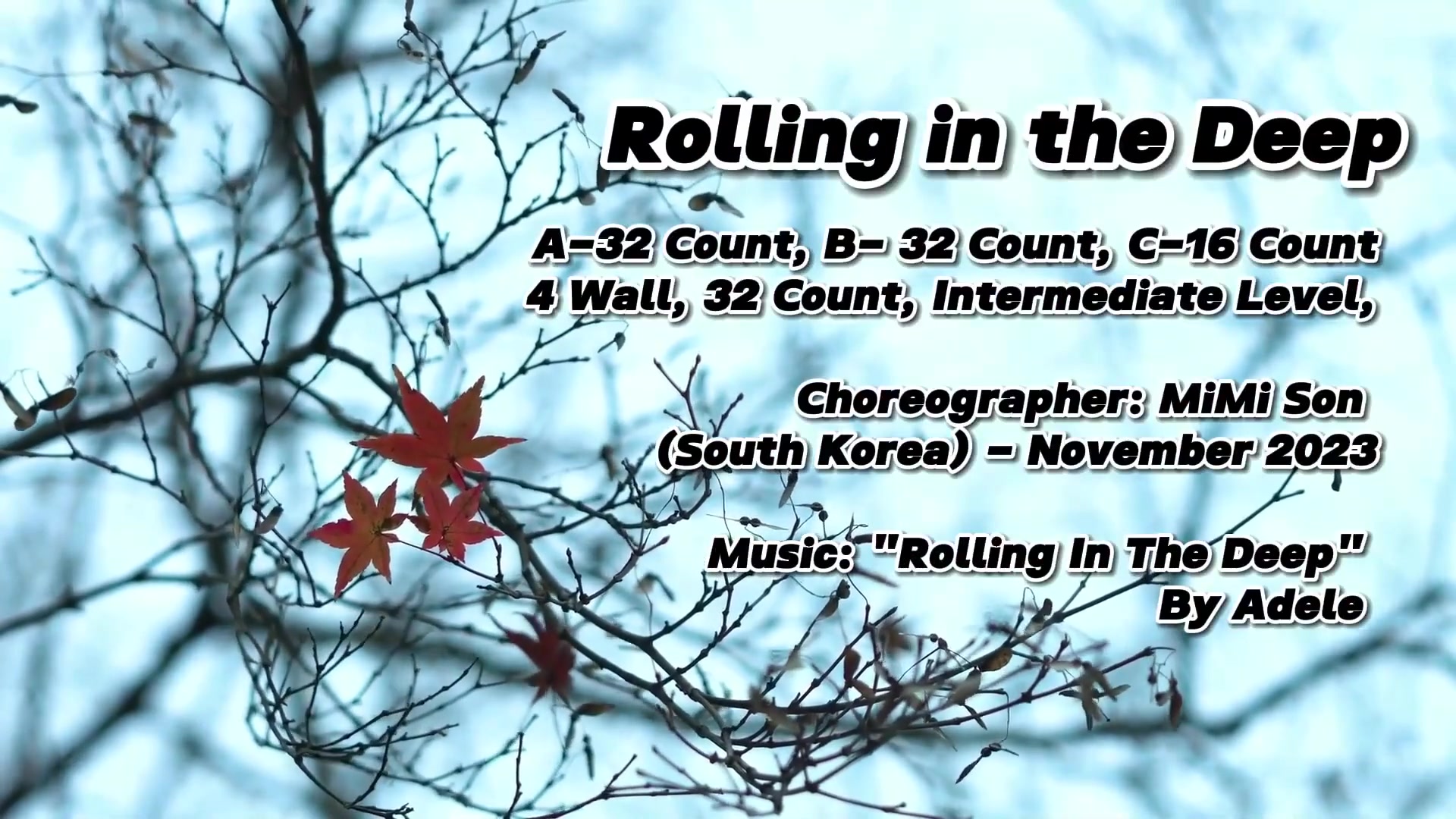 Rolling in the Deep - Line Dance Demo & Tutorial.mp4